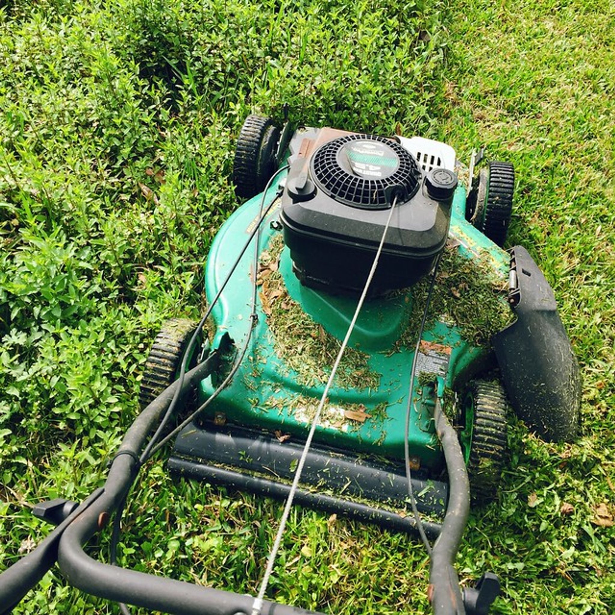 Cover for Jewel Franks Dean's Obituary