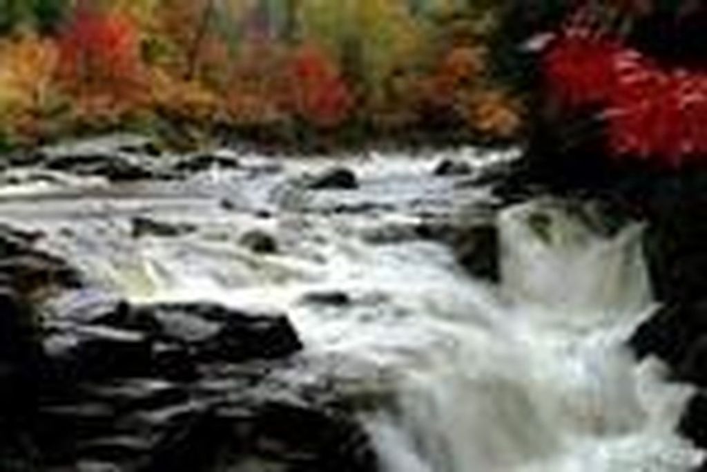 Billy Joe Arnett, Sr.