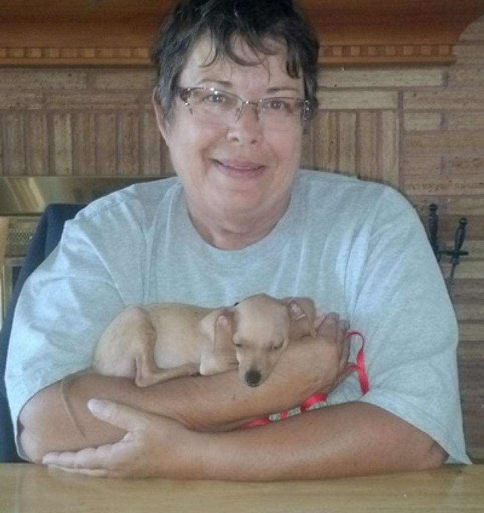 Donna R Adams Profile Photo