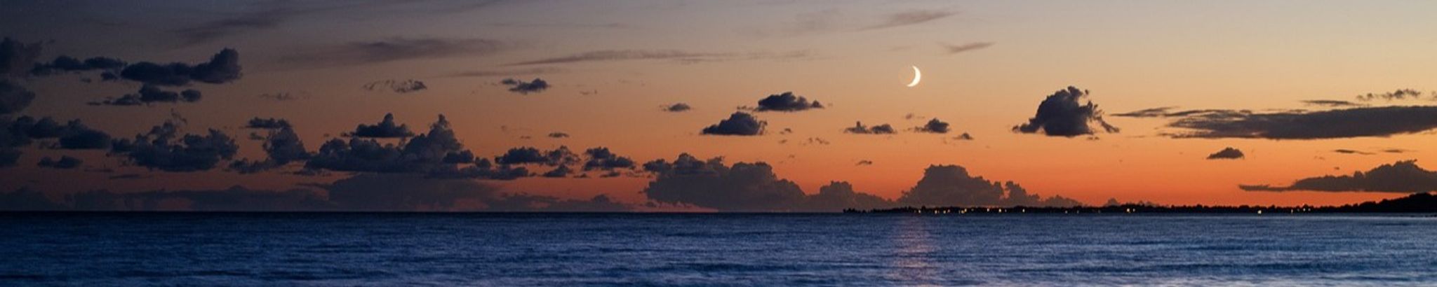 Cover for Dale Shepherd's Obituary