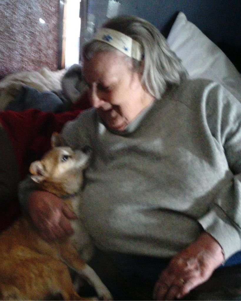 Sandra Lee (Fell) Pfister