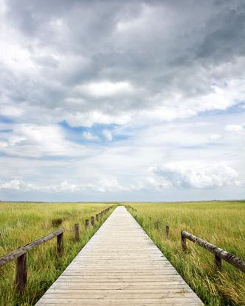 Ricky Johnson Profile Photo