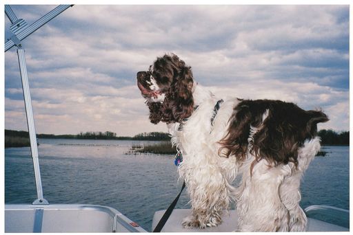 Gary L. Hall photo gallery thumbnail 251 of 354
