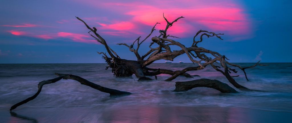 Mrs. Lorraine Gail Basso