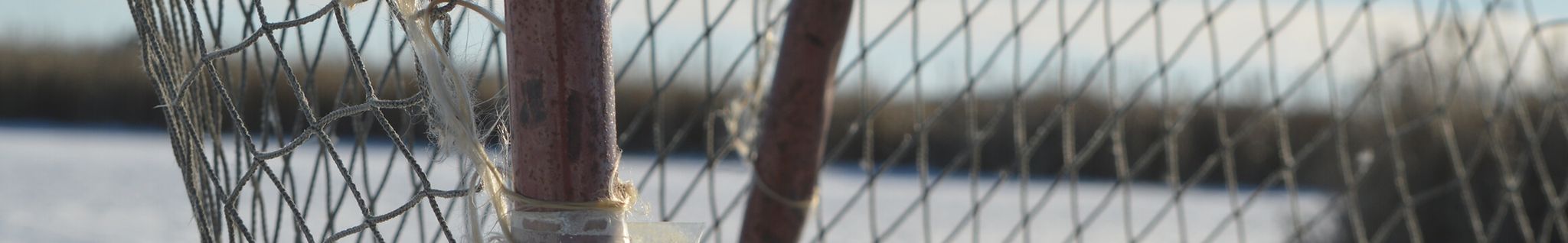 Cover for Laurent (Larry) Mathieu's Obituary