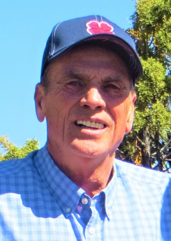 Lynn Gibson
