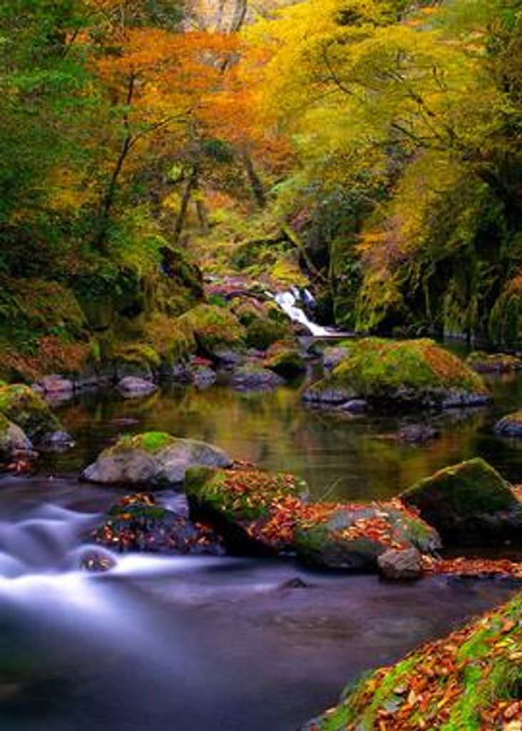 Harvey Wilson Hines Profile Photo