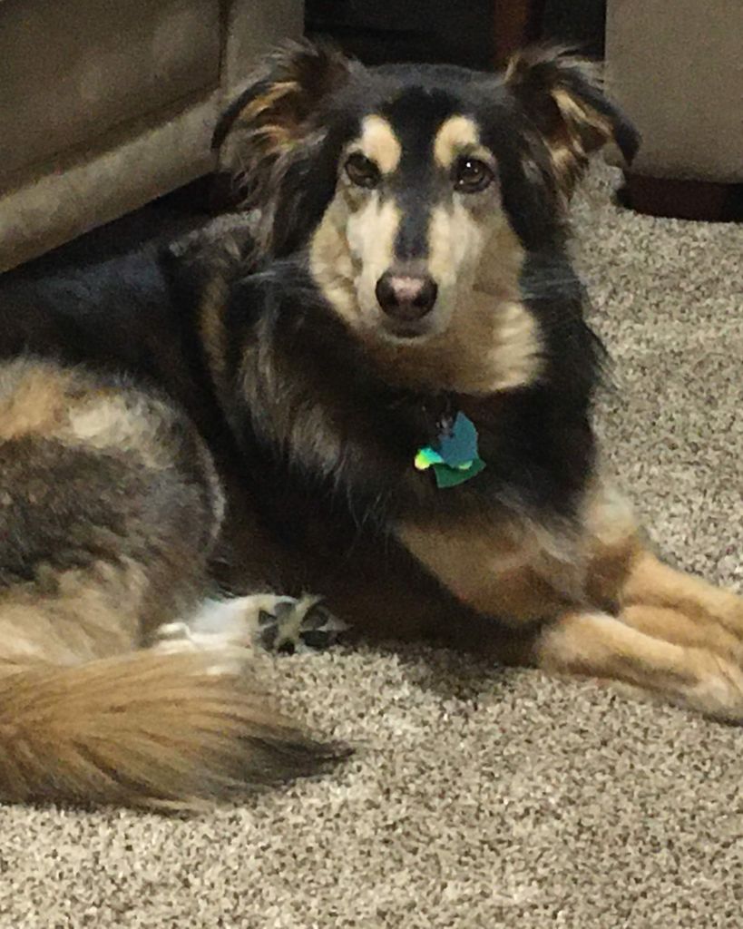 Jasper Hollar Profile Photo