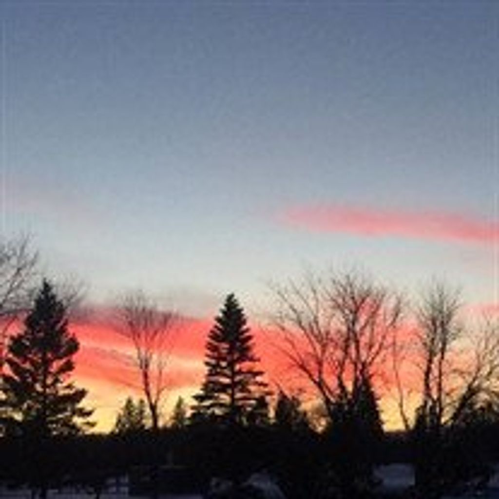 Mohammad  Amir Behinia