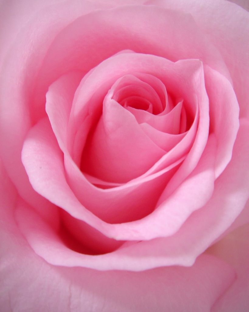 Sandra Gale Douglas Profile Photo