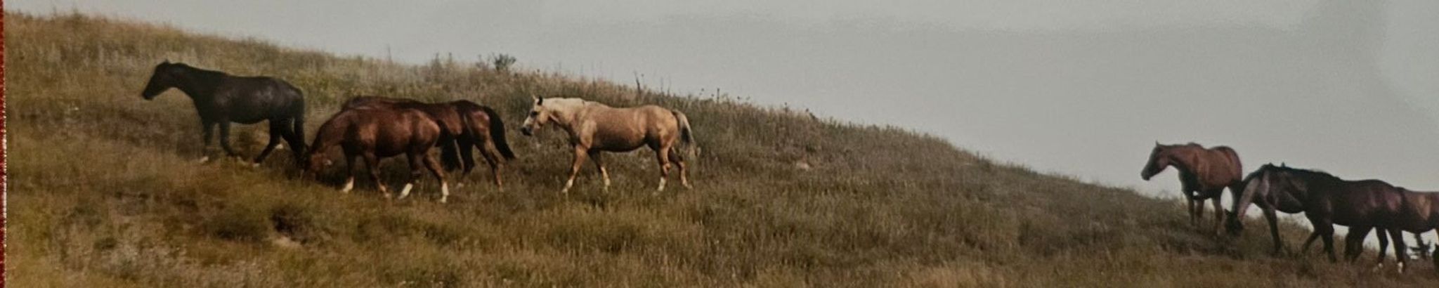 Cover for Vern Oatman's Obituary