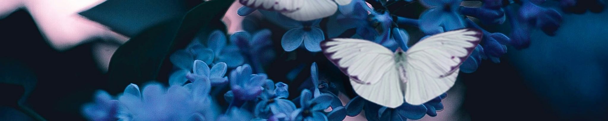 Cover for Florence Aida Barrera McArthur's Obituary