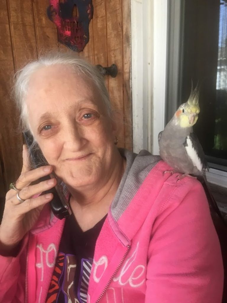 Susan (Villacci)  Deppert