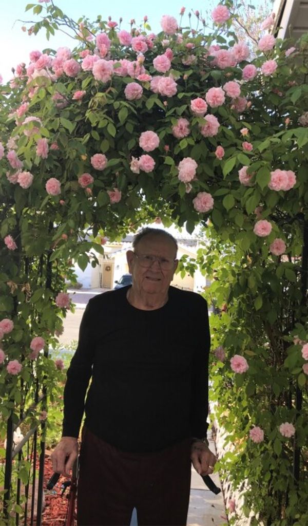 Donald J Broadhead Profile Photo