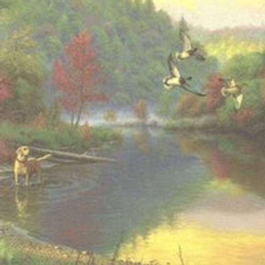 Bryan Wilson