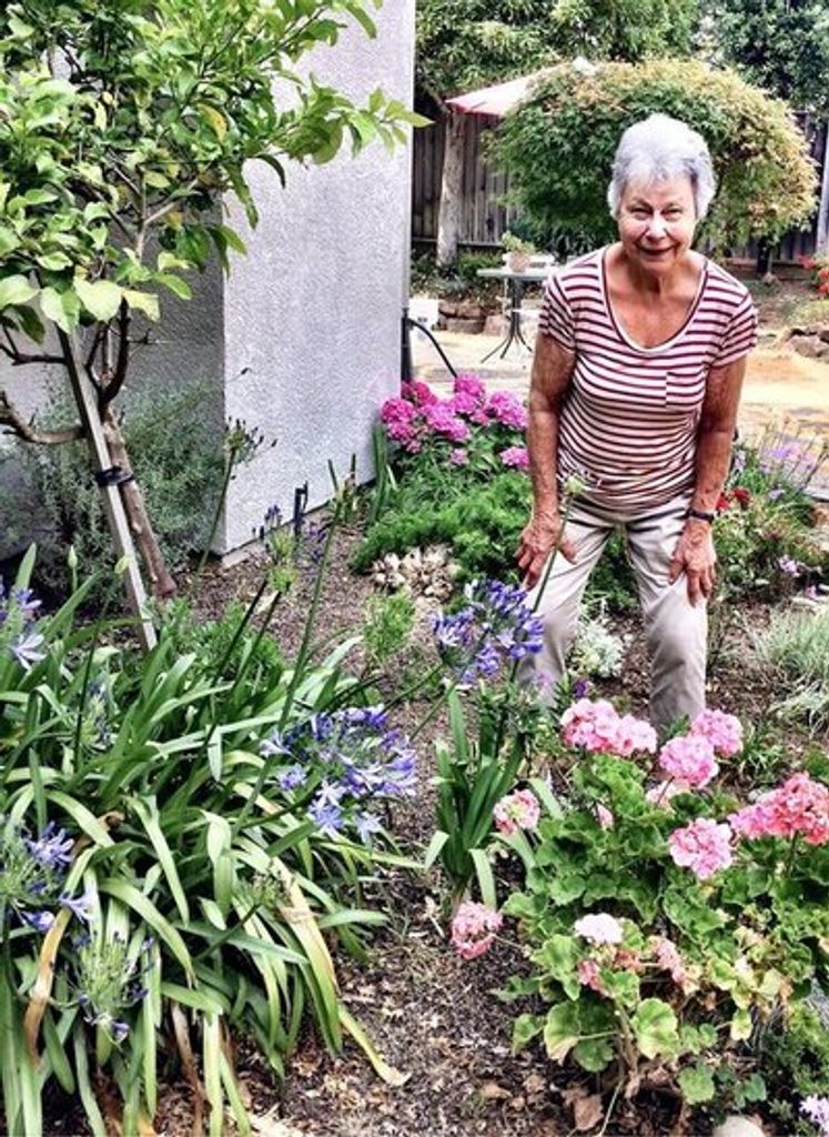 Katherine "Kay" Berberian Profile Photo