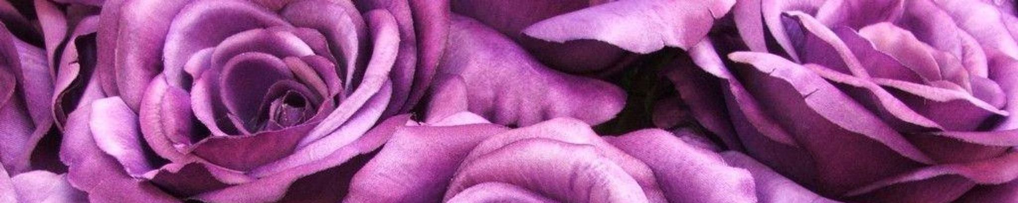Cover photo for Linda Anne McKay-Harrison's Obituary