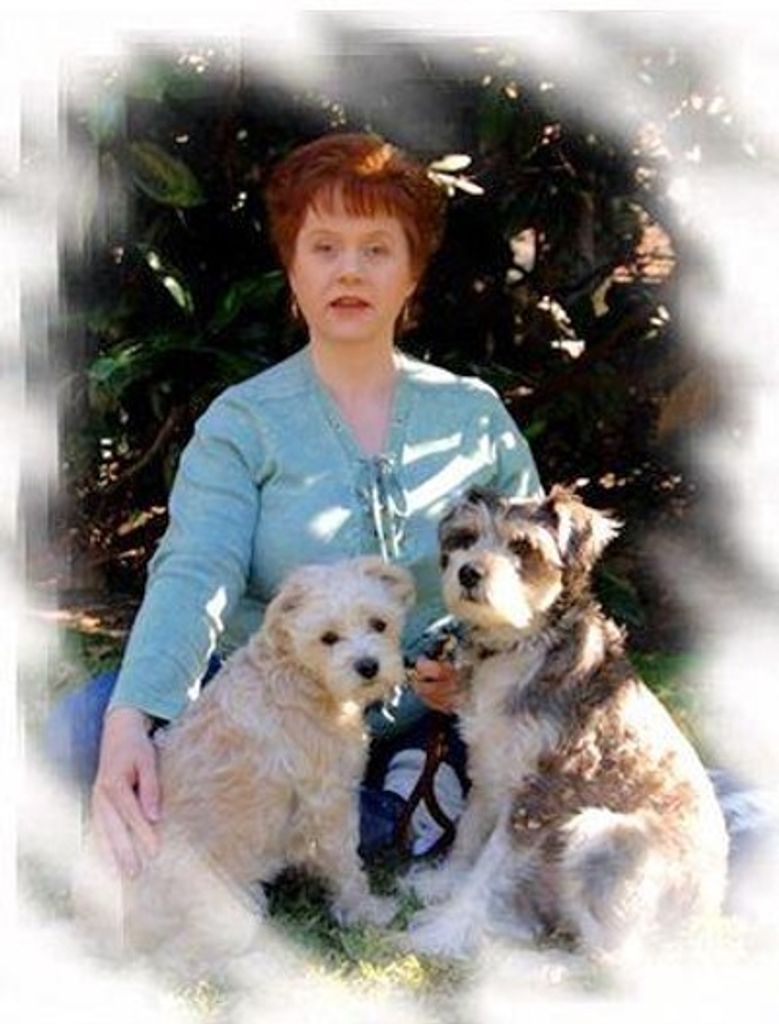 Cheryl Lynne Phelps