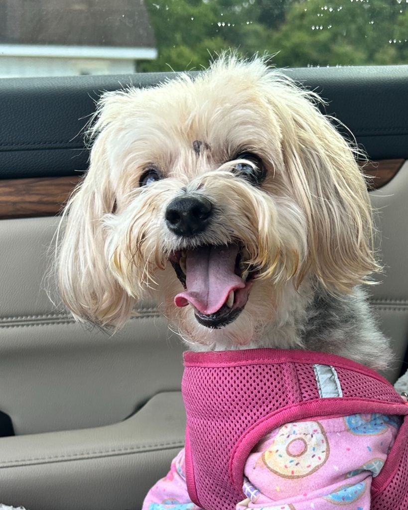 Punzee Matthews Profile Photo