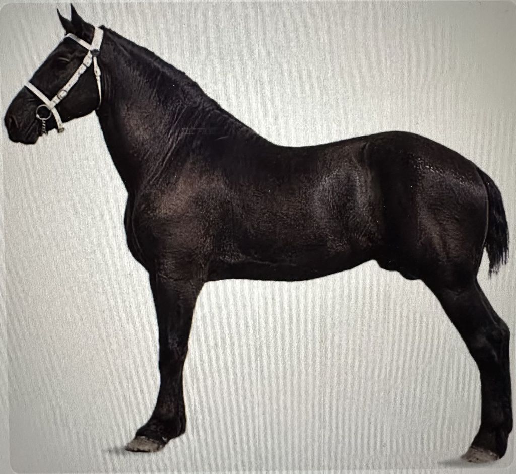 Douglas Holtorf Profile Photo