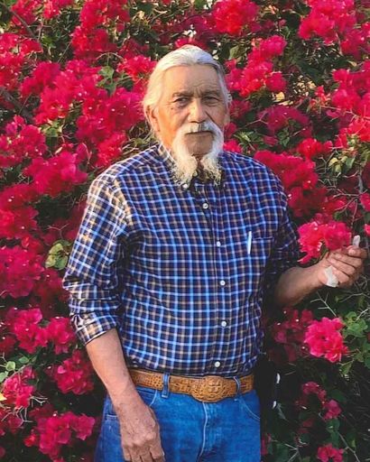 Alfredo Castillo's obituary image