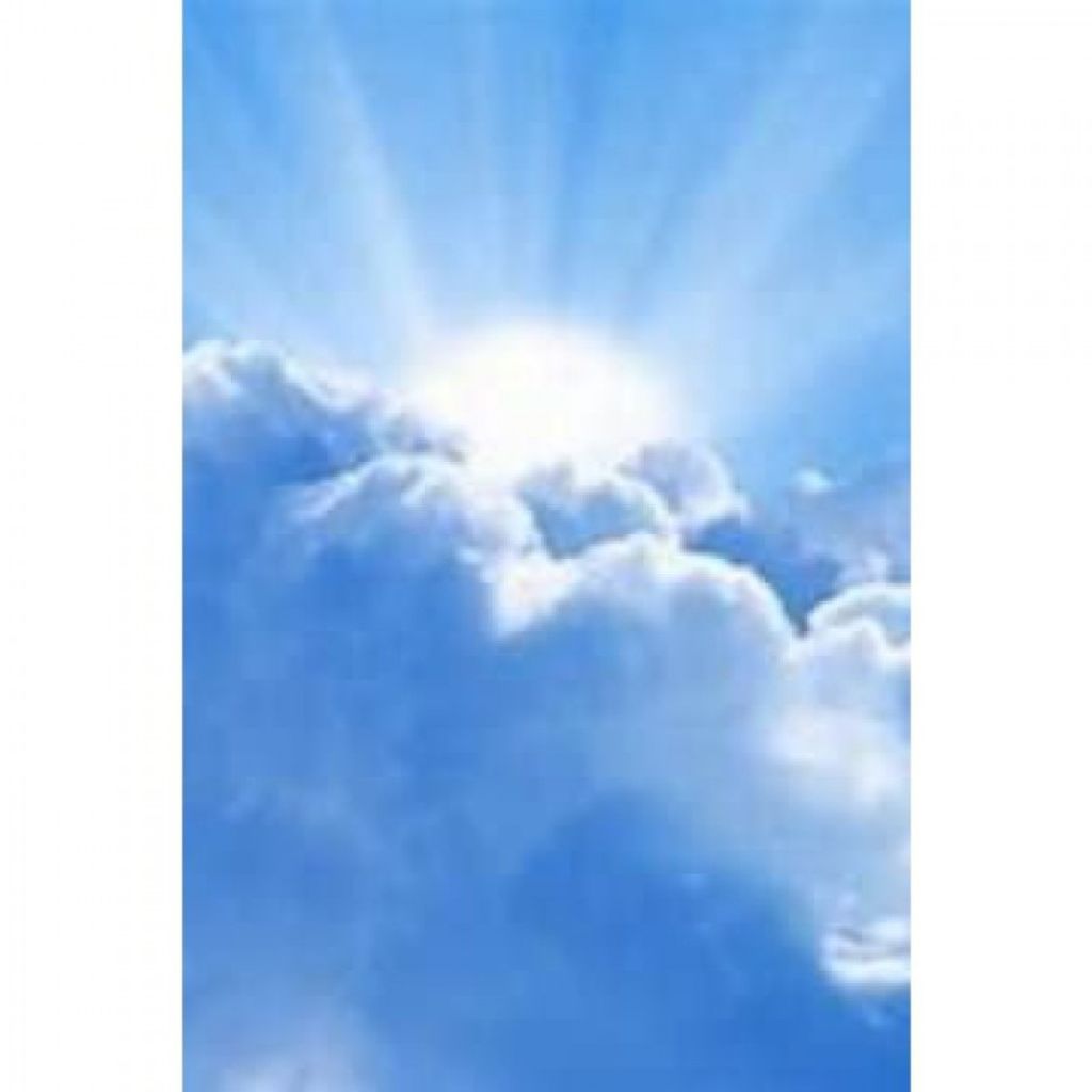 Robert W. Evans Profile Photo