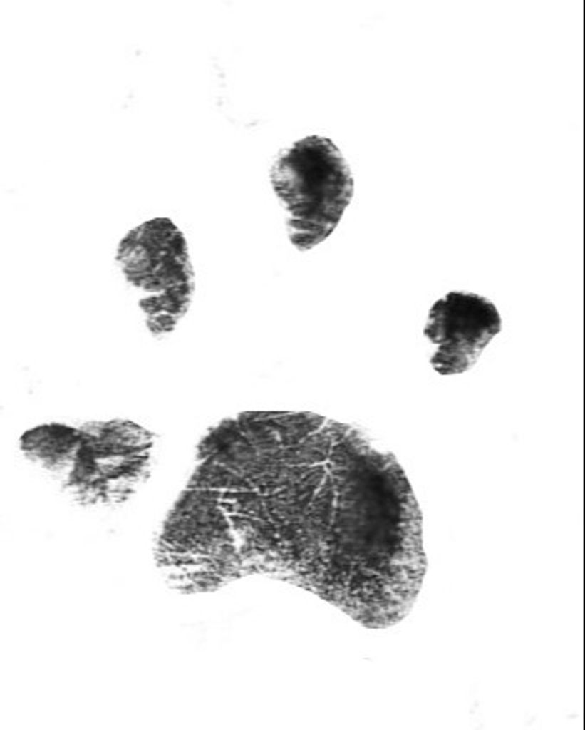 Chloe Thompson Profile Photo