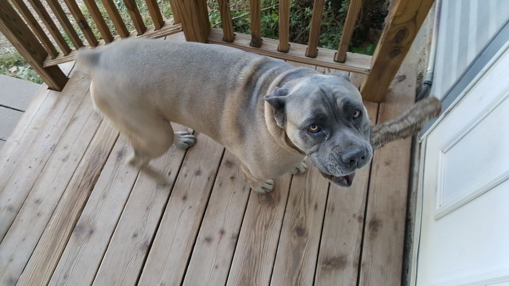 Prissie Profile Photo