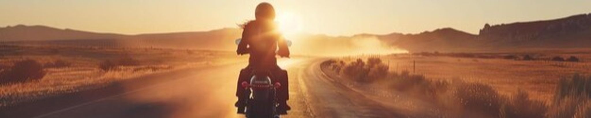 Cover for Robin Fitzpatrick's Obituary