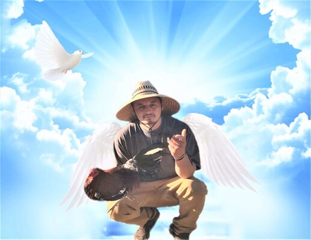 Christian Castro Morales