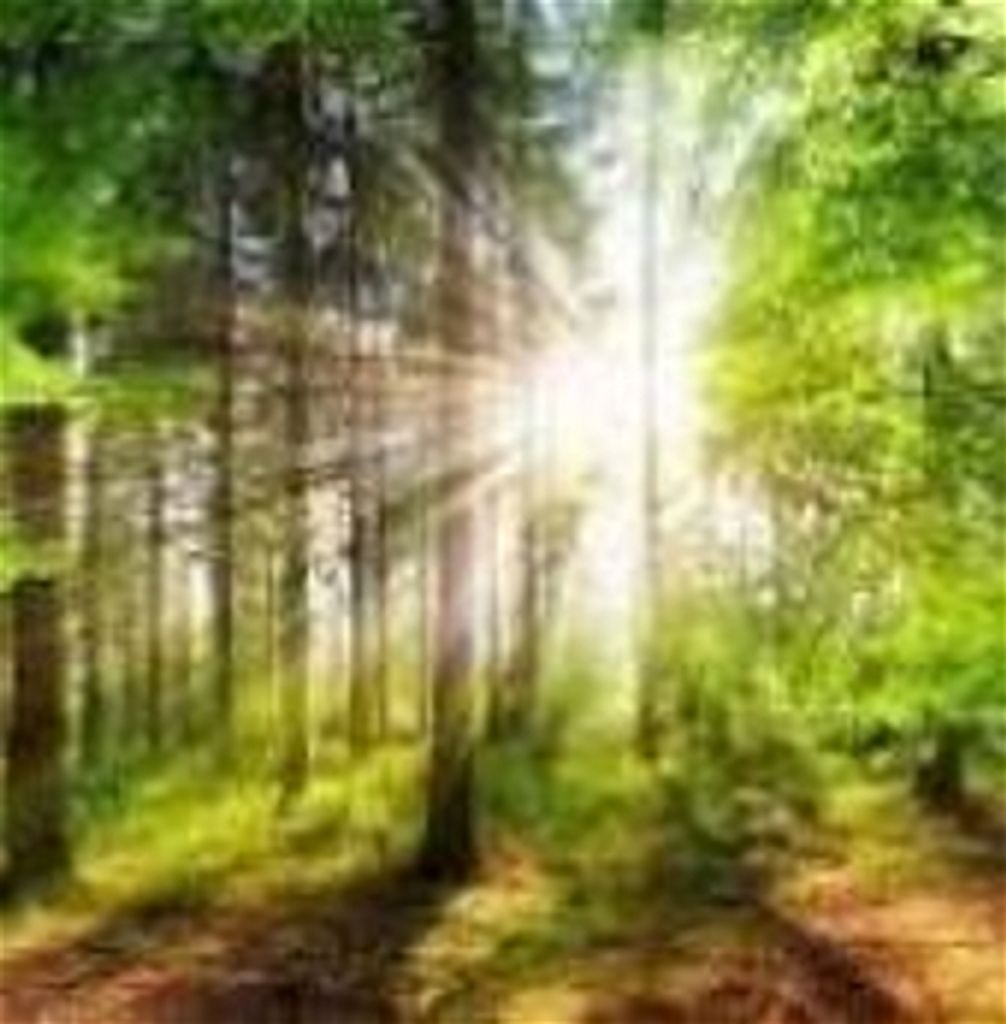 Donald Gardenhire Profile Photo