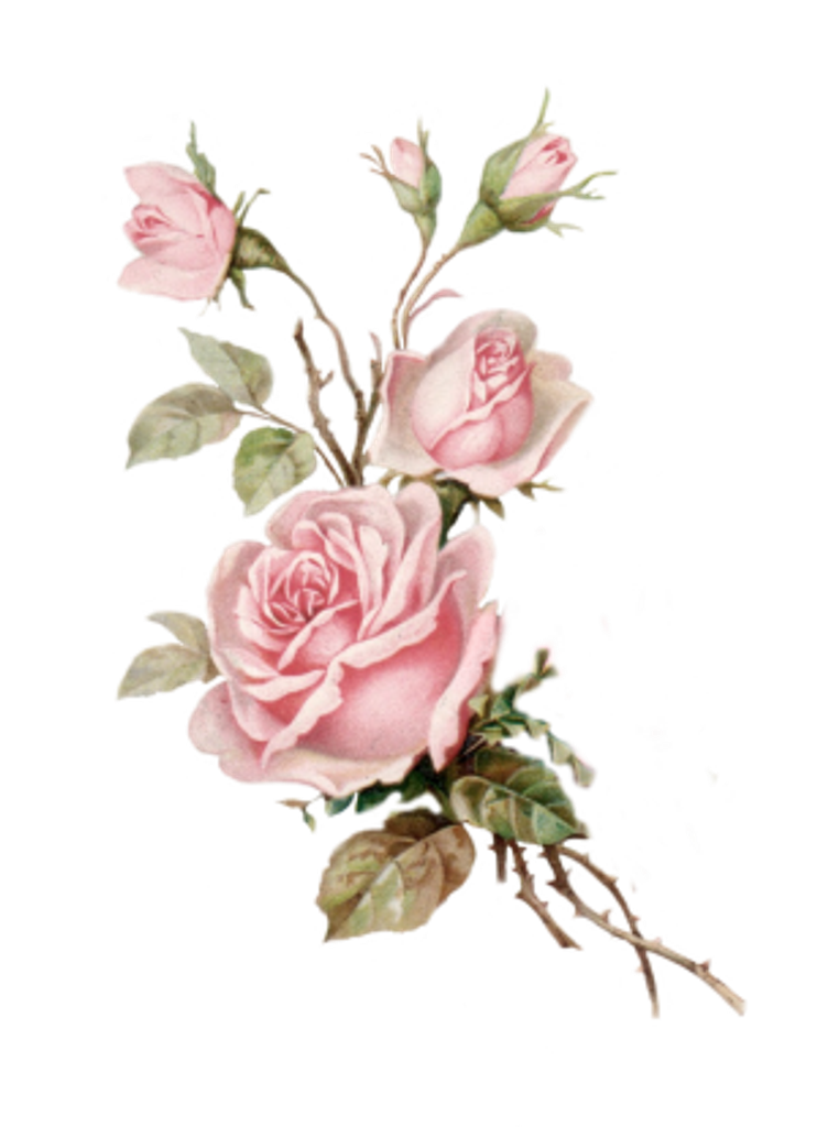 Mary Lamm