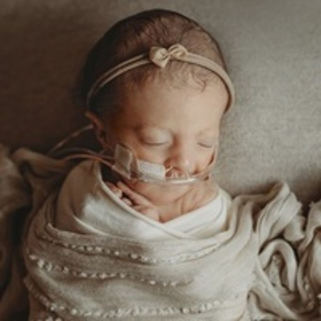 Lainey Ray Rider