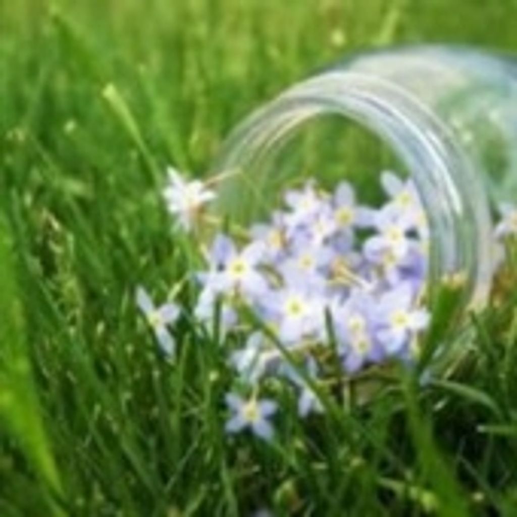 Sylvia Coral Lefebvre