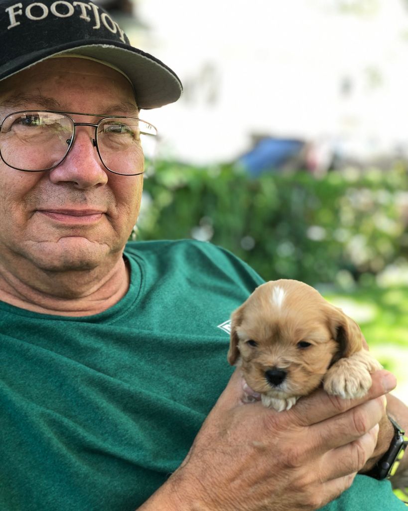 Samuel A. Lauricella