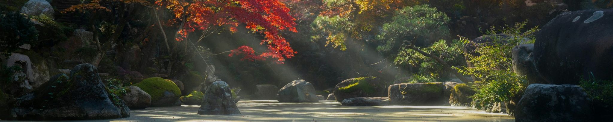 Cover for Patricia Ann Rogers's Obituary