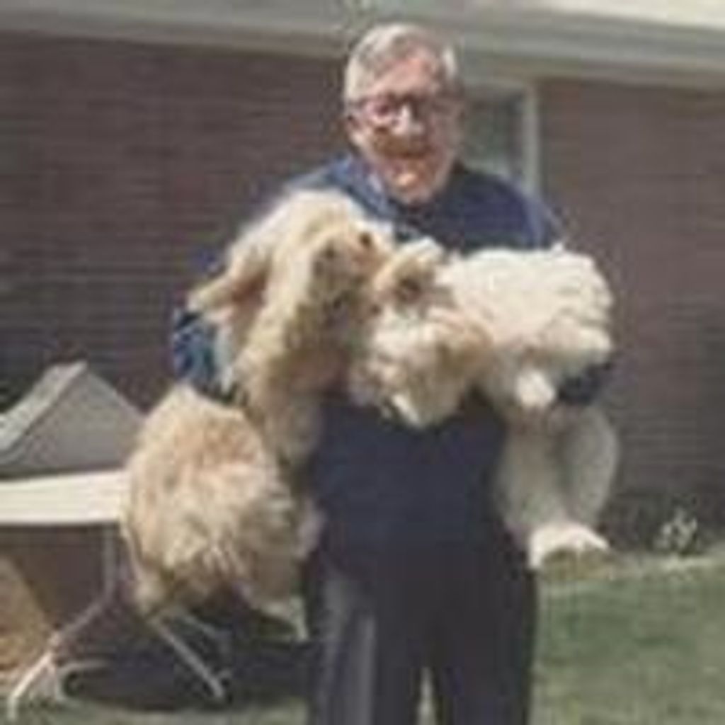 Gerrit A. Hamblin