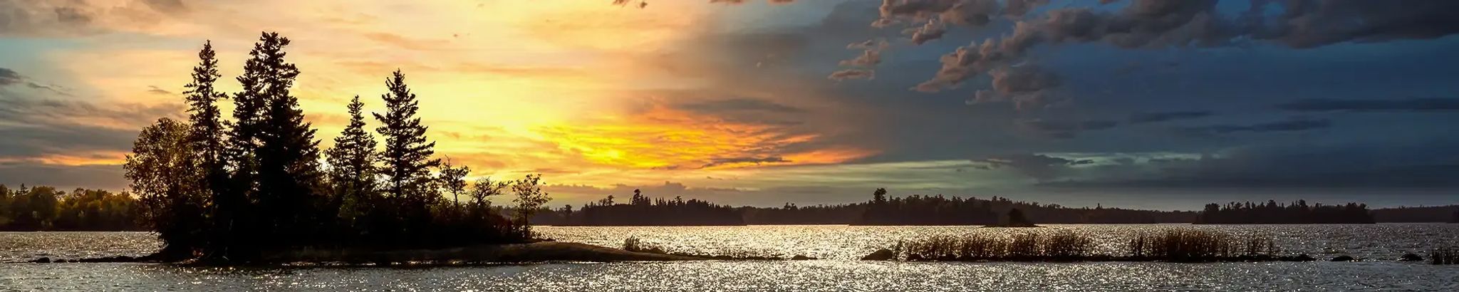 Cover for Barbara Ellen Bracken's Obituary