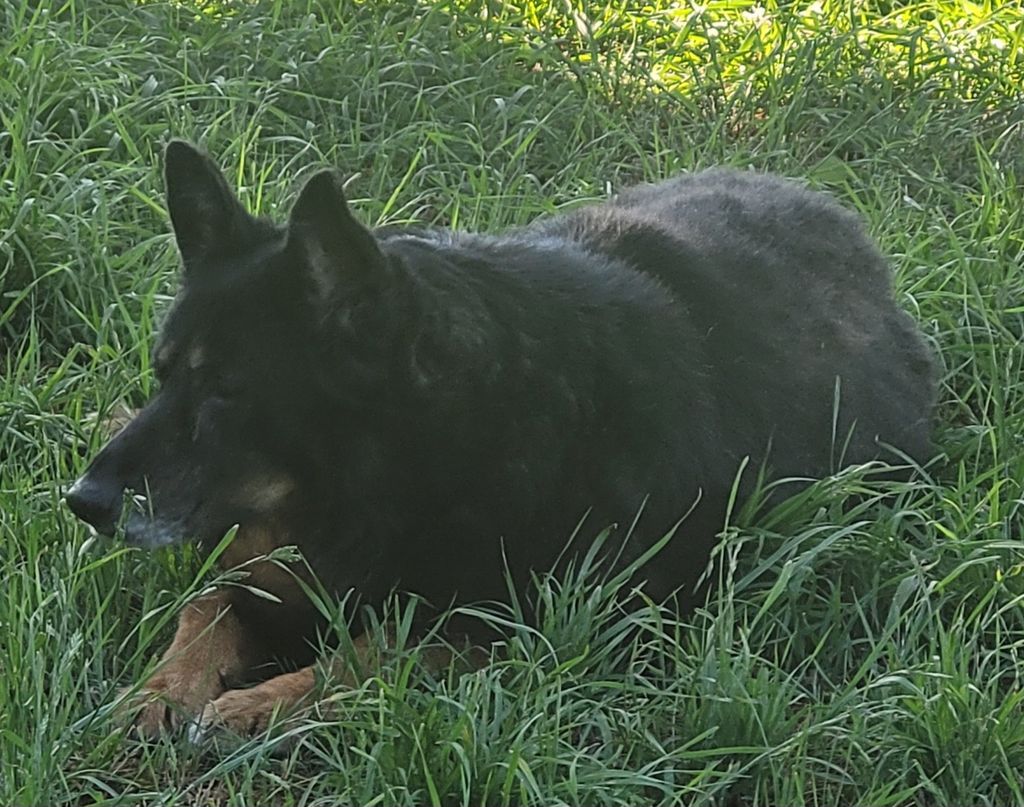 Maya Profile Photo