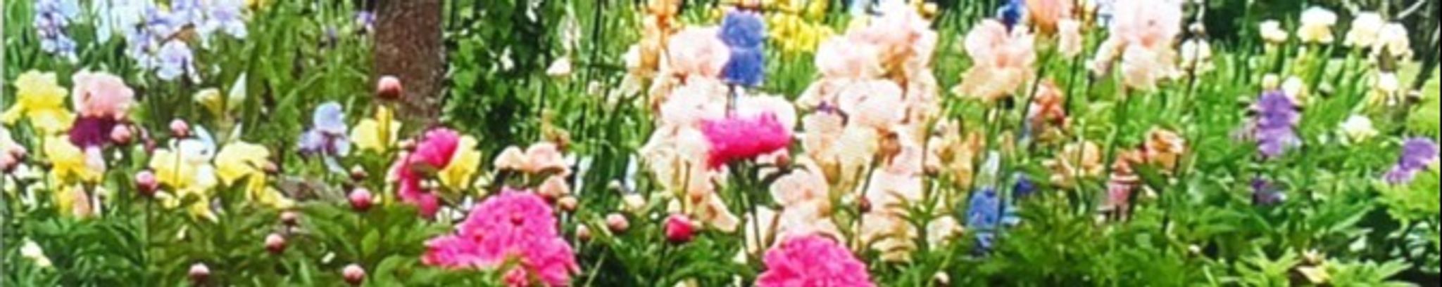 Cover photo for Betty Lavora East's Obituary