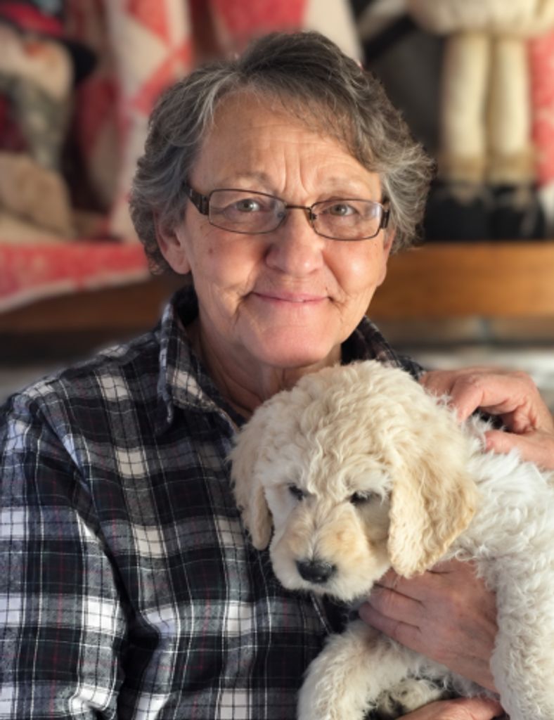Jane E Boldt