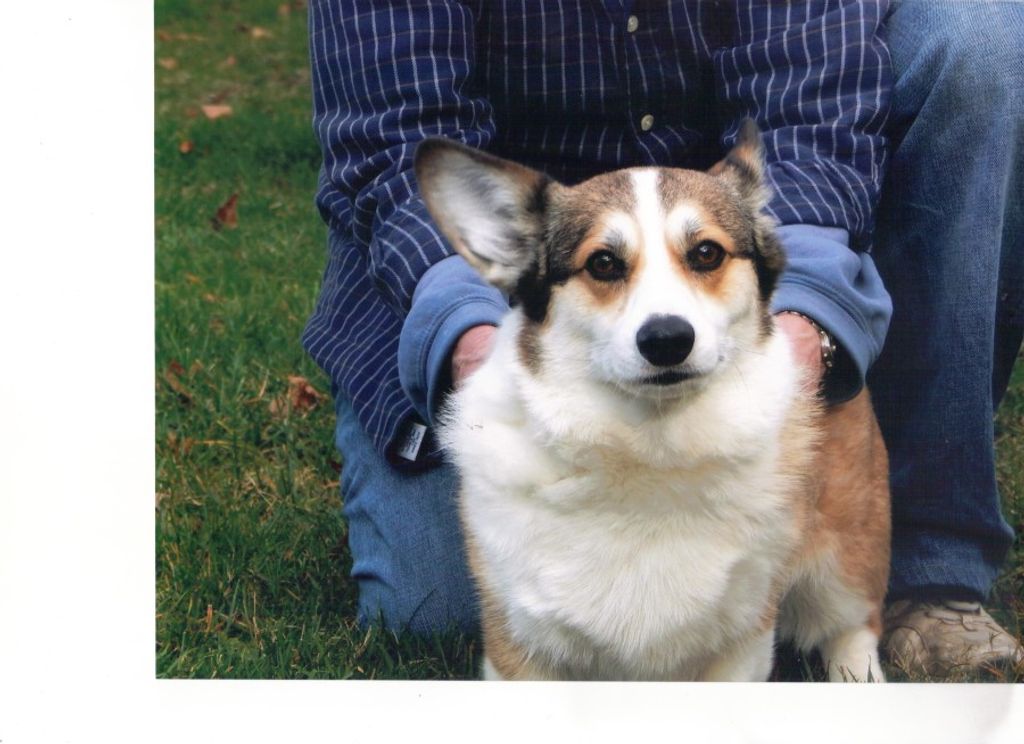 Dorothy (Williams)  Goham Profile Photo