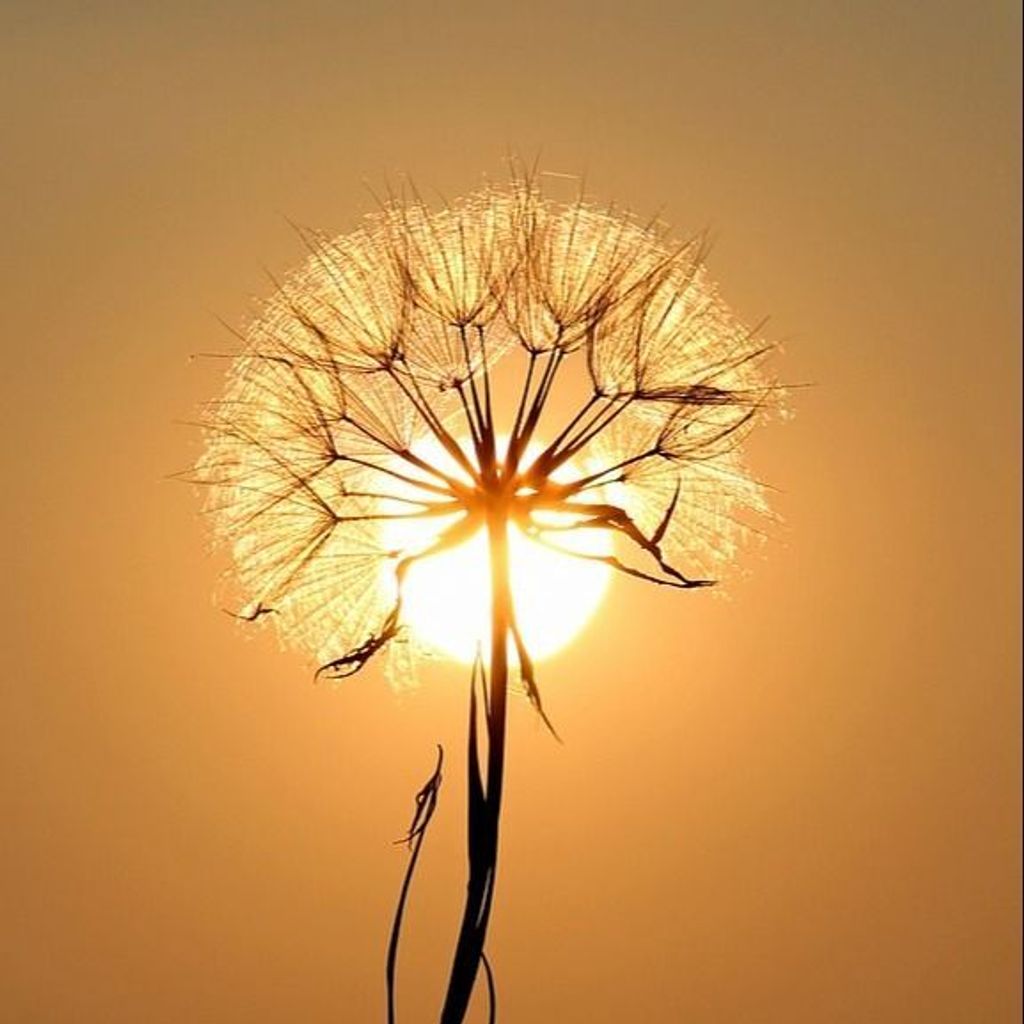 Ronald E. Lentz Profile Photo