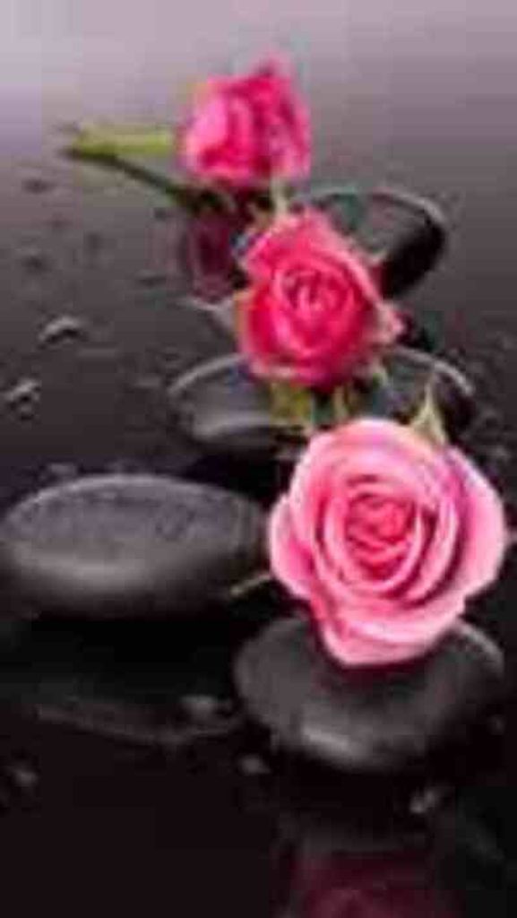 Ms. Ruth Ann Jones Childs Profile Photo
