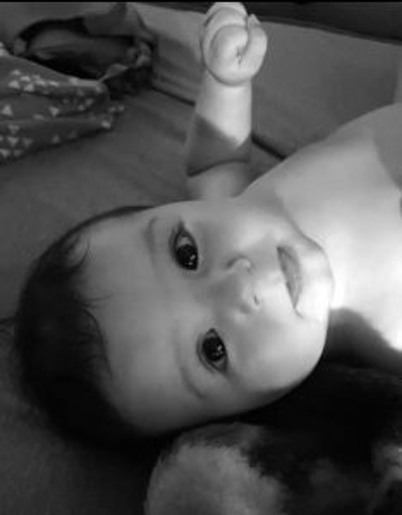 Knox Beau Anau