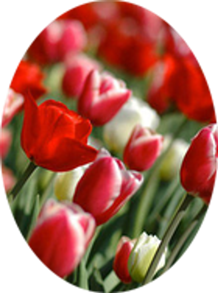 Betty Ashburn Profile Photo