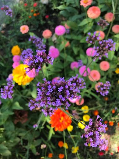 Sandra L. Stowers photo gallery thumbnail 47 of 100