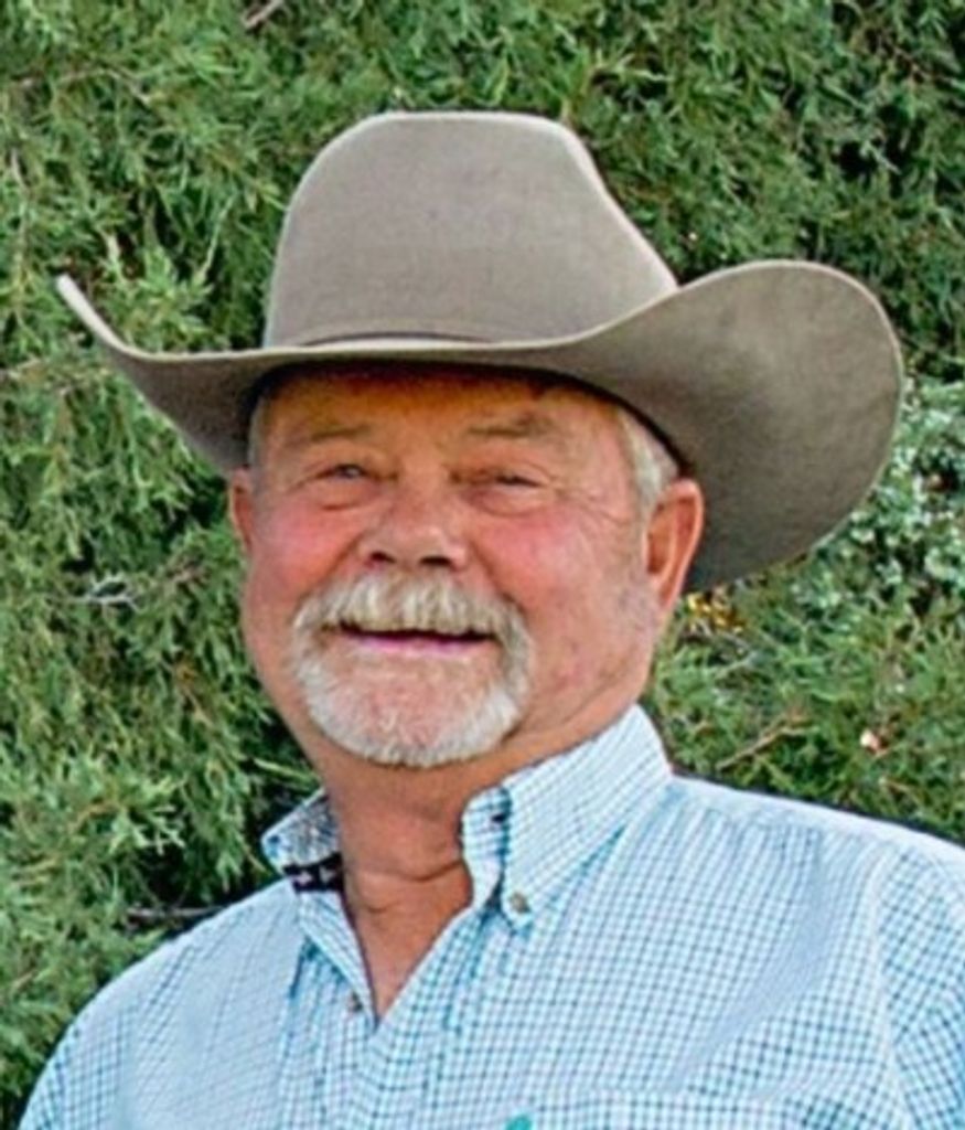 Peter Anderson Profile Photo