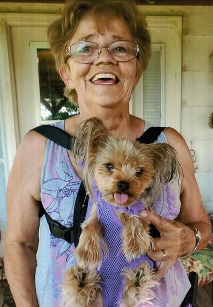 Diana Mae Harms Profile Photo