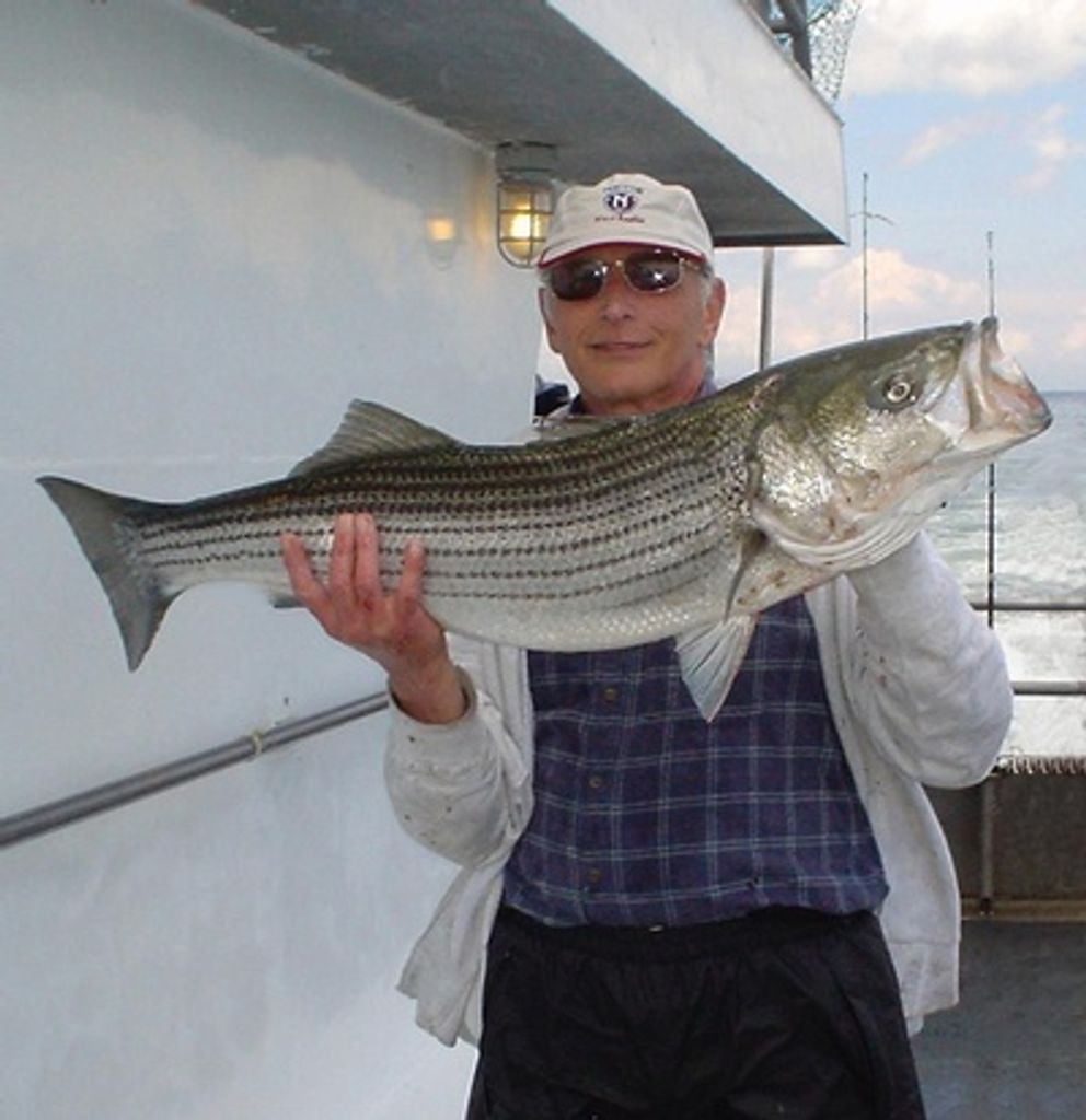 Frank Michael Tricarico